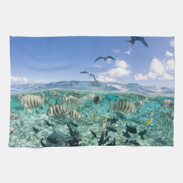 Lagoon safari trip featuring Stingrays Tea Towel (Horizontal)