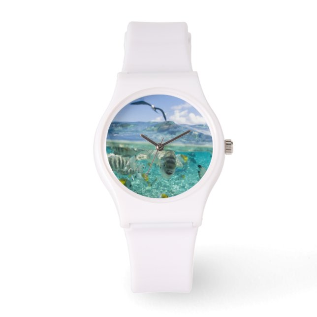 Lagoon safari trip featuring Stingrays Watch (Front)