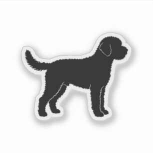 Lagotto Romagnolo