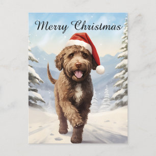 Lagotto Romagnolo Christmas Holiday Postcard