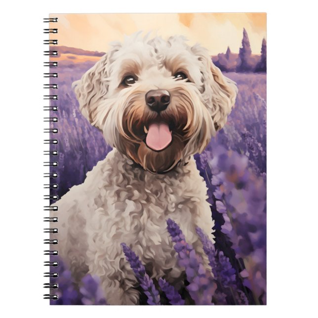 Lagotto Romagnolo in Lavender field Notebook (Front)