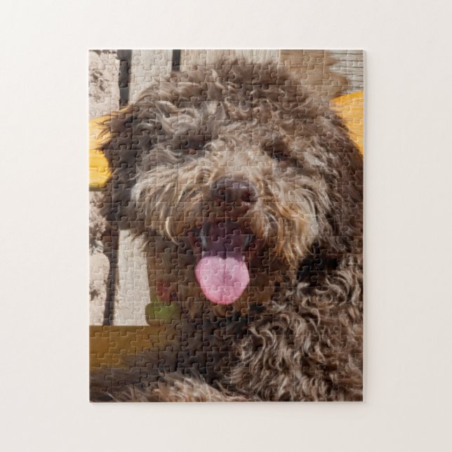 Lagotto Romagnolo Lying On A Wooden Bench Jigsaw Puzzle (Vertical)