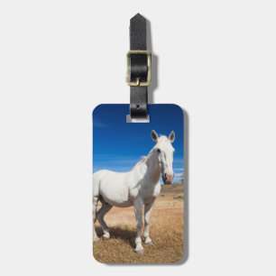 Laguna Azul, landscape with horses Luggage Tag