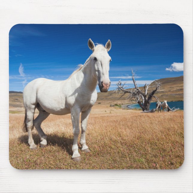 Laguna Azul, landscape with horses Mouse Pad (Front)