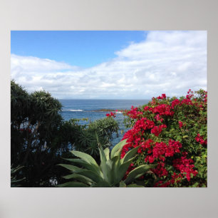 Laguna Beach Ocean View Poster