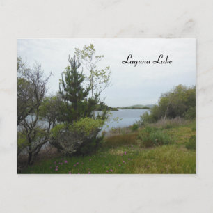 Laguna Lake, San Luis Obispo, after Rain Postcard
