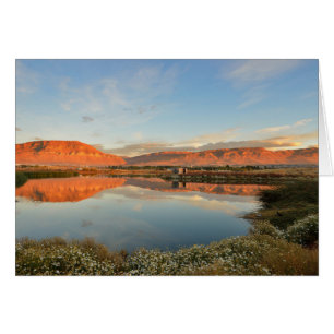 Laguna Nimez Sunset, El Calafate