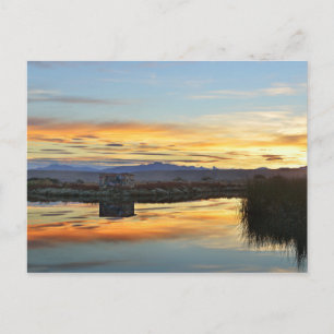 Laguna Nimez Sunset, El Calafate, Argentina Postcard