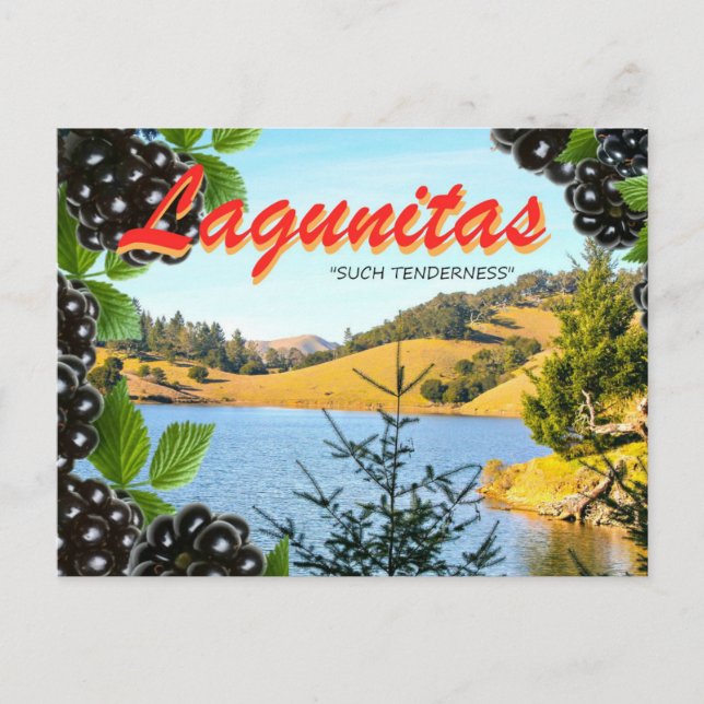 Lagunitas, "Such Tenderness" (Hass, take 2) Postcard (Front)