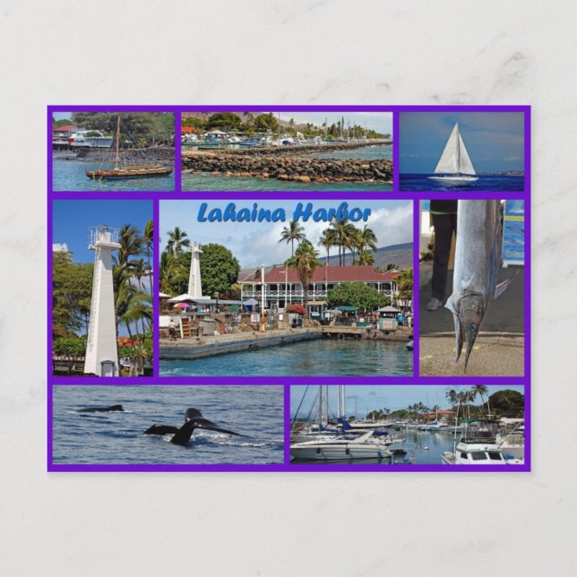 Lahaina Harbour Postcard (Front)
