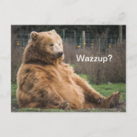 Laid-back Grizzly Bear