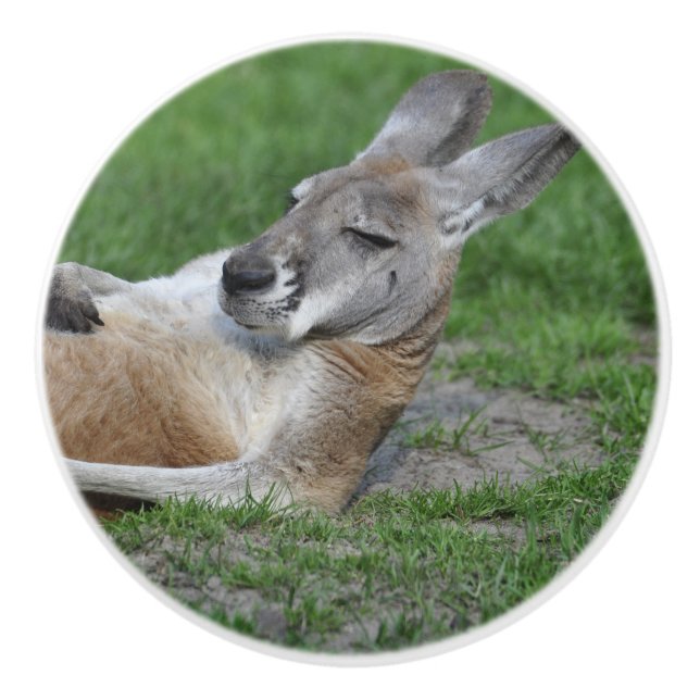 Laid-back Kangaroo Ceramic Knob (Front)