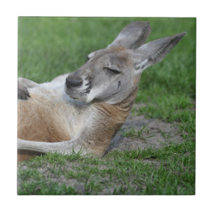Laid-back Kangaroo Ceramic Tile