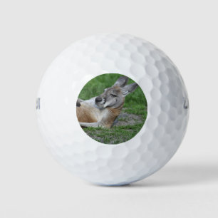Laid-back Kangaroo Golf Balls