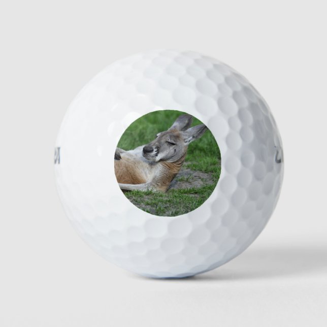 Laid-back Kangaroo Golf Balls (Front)