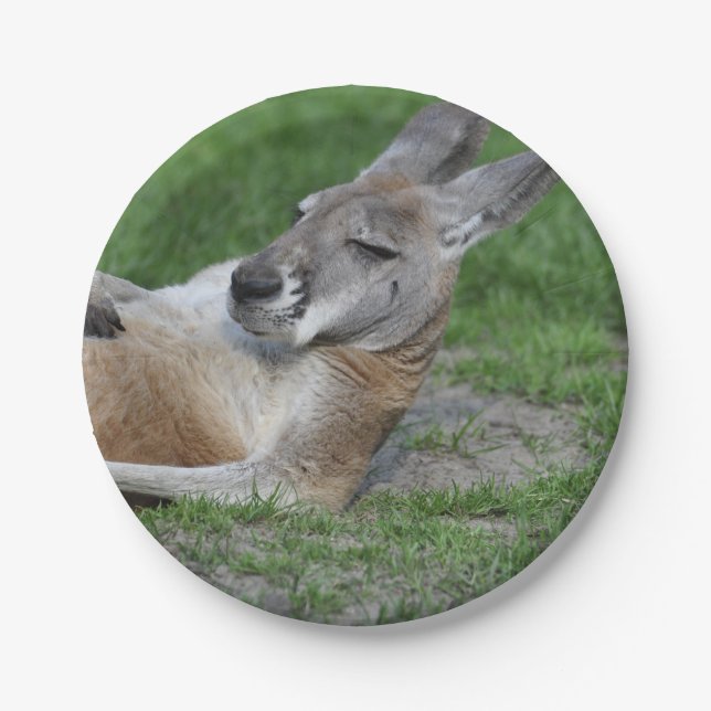 Laid-back Kangaroo Paper Plate (Front)