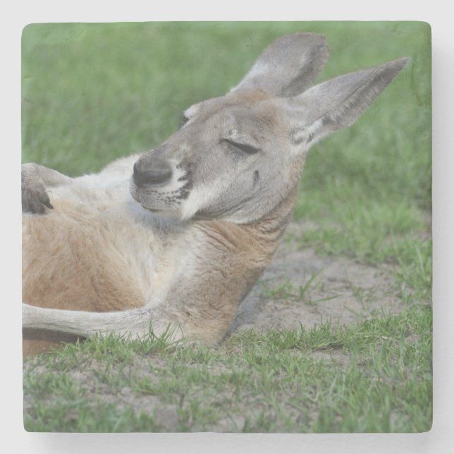 Laid-back Kangaroo Stone Coaster (Front)