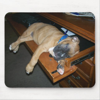 Laila sleeping on computer desk mousepad