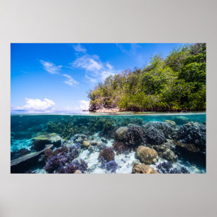 Laja Ampat Underwater 2 Poster