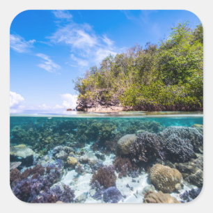 Laja Ampat Underwater 2 Square Sticker