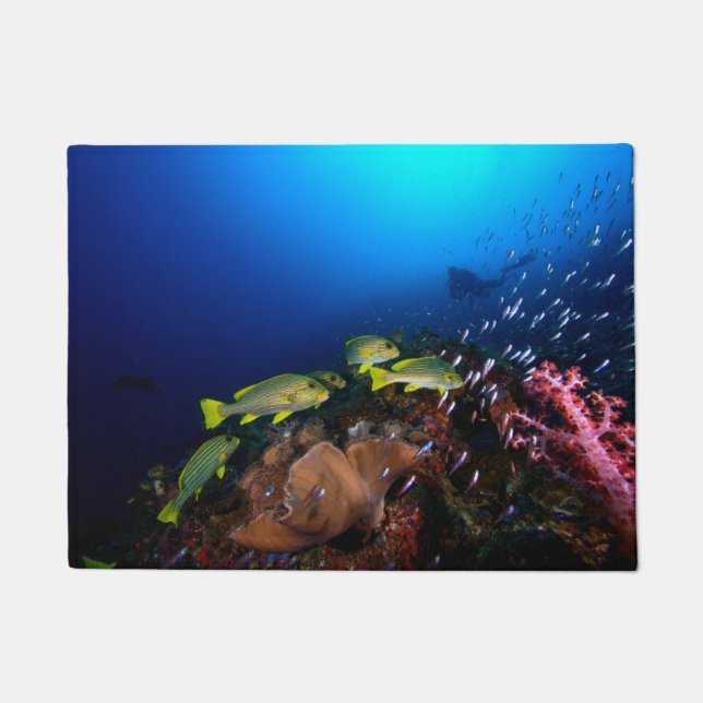 Laja Ampat Underwater 3 Doormat (Front)