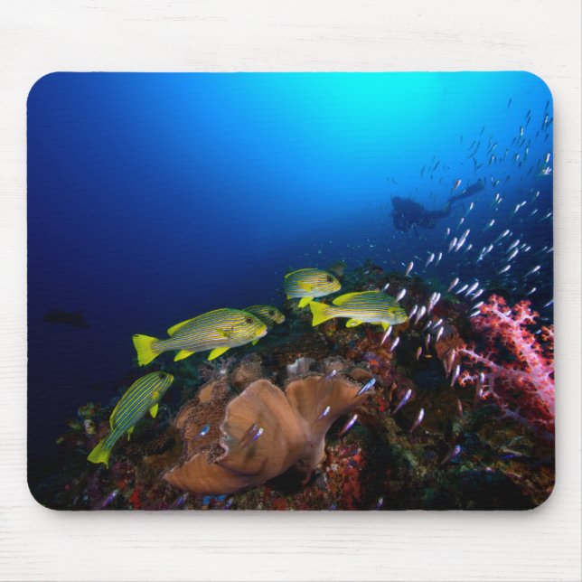 Laja Ampat Underwater 3 Mouse Pad (Front)