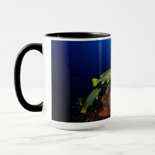 Laja Ampat Underwater 3 Mug