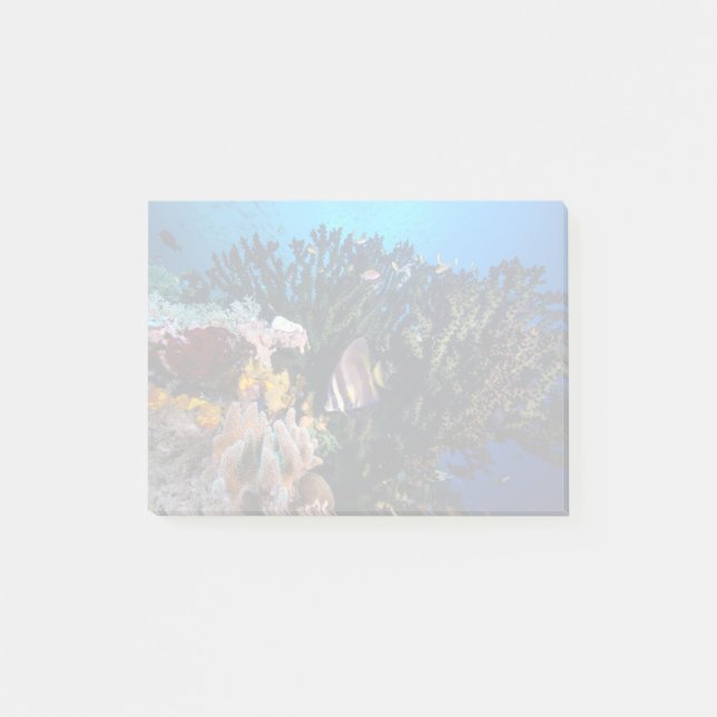 Laja Ampat Underwater 4 Post-it Notes (Front)