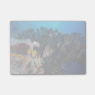 Laja Ampat Underwater 4 Post-it Notes