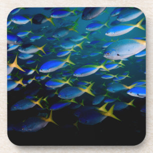 Laja Ampat Underwater 5 Coaster