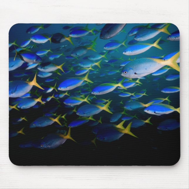 Laja Ampat Underwater 5 Mouse Pad (Front)