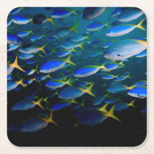 Laja Ampat Underwater 5 Square Paper Coaster