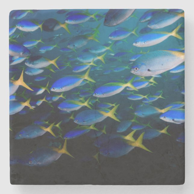 Laja Ampat Underwater 5 Stone Coaster (Front)