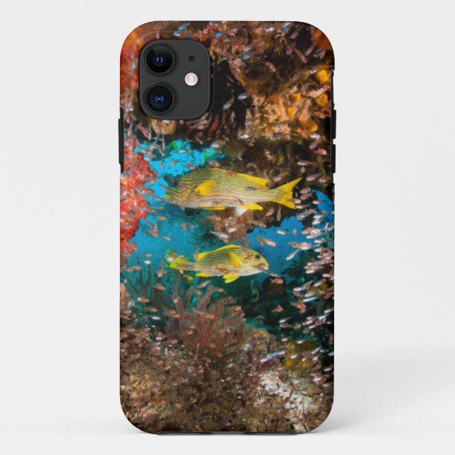 Laja Ampat Underwater 6 Case-Mate iPhone Case (Back)