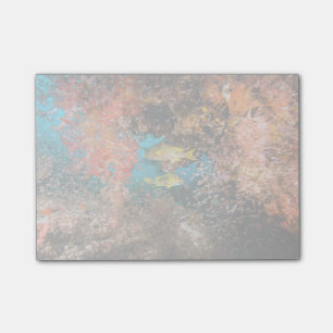 Laja Ampat Underwater 6 Post-it Notes