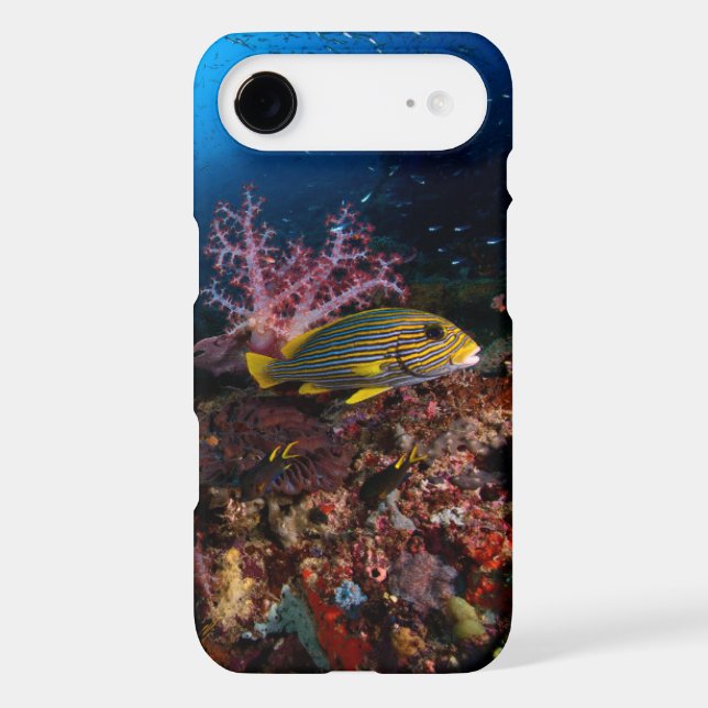 Laja Ampat Underwater Case-Mate iPhone Case (Back)