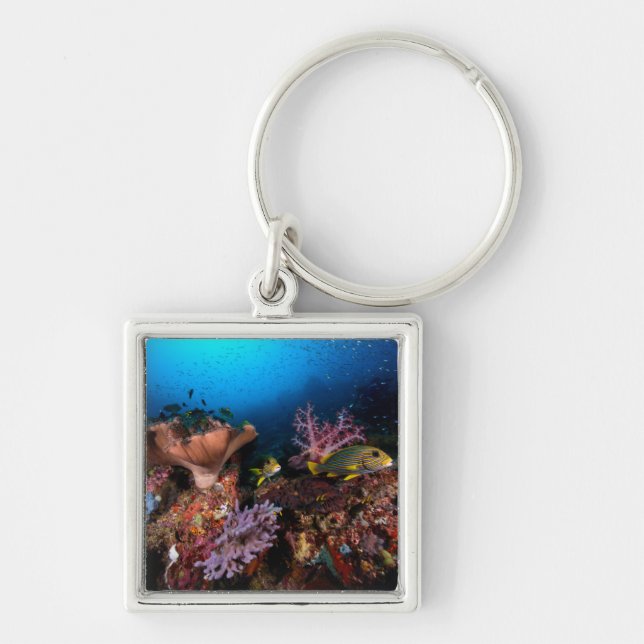 Laja Ampat Underwater Key Ring (Front)