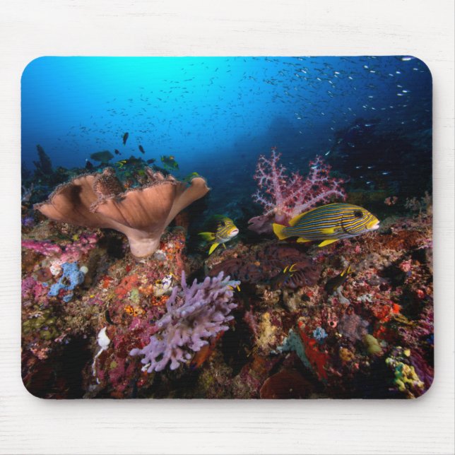 Laja Ampat Underwater Mouse Pad (Front)