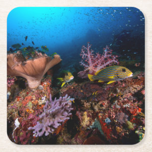 Laja Ampat Underwater Square Paper Coaster