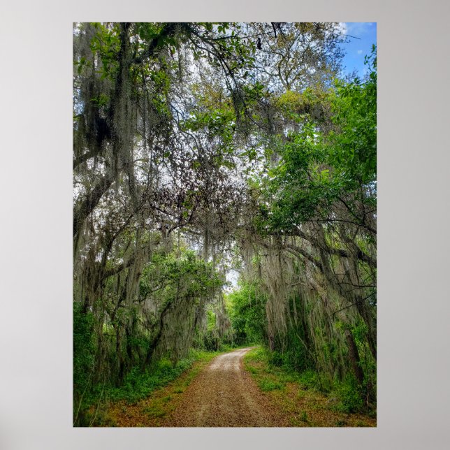Lake Apopka Loop Trail, Florida Poster (Front)