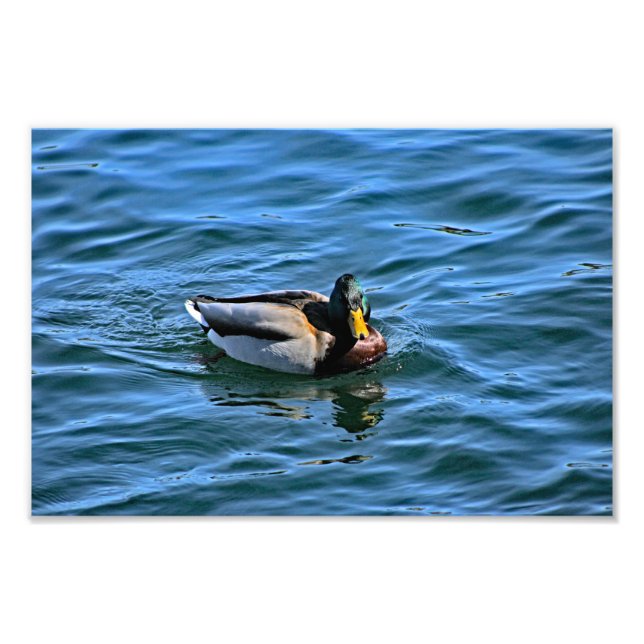 Lake Arrowhead Photo Print (Front)