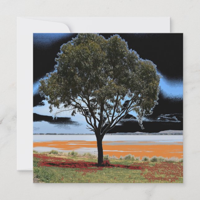 Lake Beeac Solo Tree Flat Card (Front)