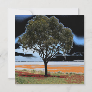 Lake Beeac Solo Tree Flat Card