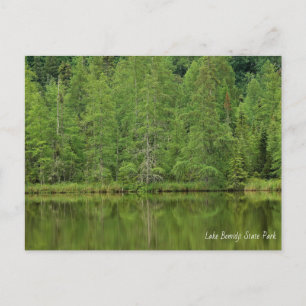 Lake Bemidji State Park Postcard