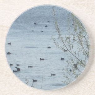 Lake Birds Coaster