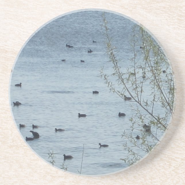 Lake Birds Coaster (Front)
