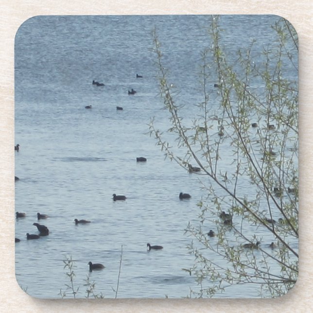 Lake Birds Coasters - Set of 6 (Front)