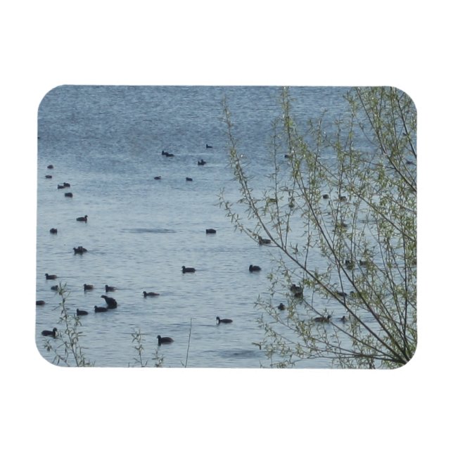 Lake Birds Flexible Magnet (Horizontal)