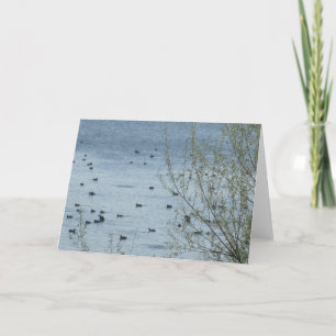 Lake Birds Greeting Card