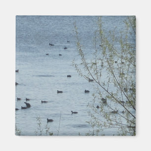 Lake Birds Magnet